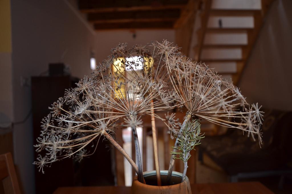 Holiday Farmhouse Skvor Robidisce Extérieur photo